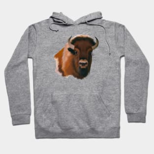 Cute Bison Drawing Hoodie